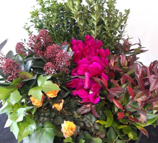 Espace Floral Azieu - Fleurissement tombes 3