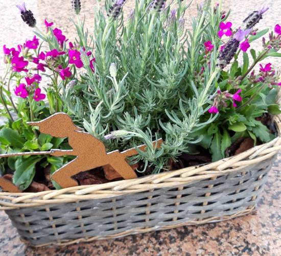 EspaceFloralAzieu - Fleurissement tombe 1