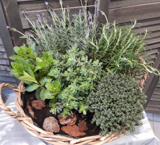 EspaceFloralAzieu-Fleurissement-tombe-11