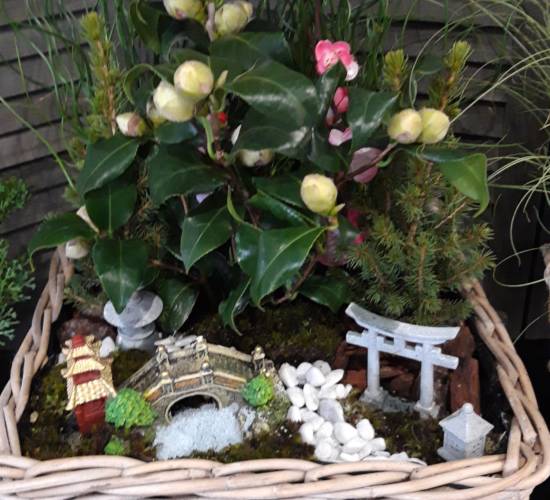 EspaceFloralAzieu - Fleurissement tombe 7