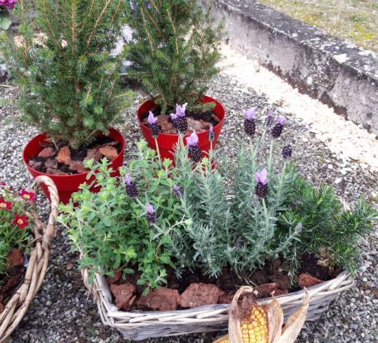 EspaceFloralAzieu-Fleurissement-tombe-9