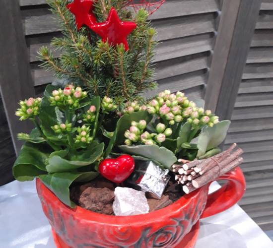 EspaceFloralAzieu - Fleurs tasse